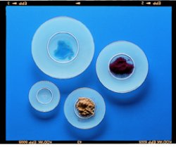 VETRO da OROLOGIO con base di appoggio ø 100 mm