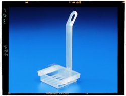 CESTELLO a 20 POSTI PER COLORAZIONE