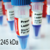 Prestained Protein Ladder 245 kDa 500ul