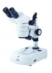 Stereomicroscopio zoom compatto, SMZ-140-N2GG, SMZ-143-N2GG  Tipo SMZ-140-N2GG