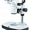 Stereomicroscopio a zoom con elevate prestazioni, serie SMZ 168  Tipo SW0113W9 0,65X adattatore per fotocamera a passo C (foche