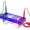 Vasca per elettroforesi multiSUB Mini DUO  Tipo MS7-8-1.5 Pettine 8 campioni, 1.5mm Volume Campione 37 µl