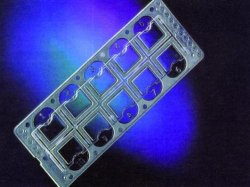 Camera per vetrini con griglia numerata Quick-Read Tipo Quick-Read Capacità 6,3 µl