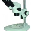 Stereomicroscopio Optech