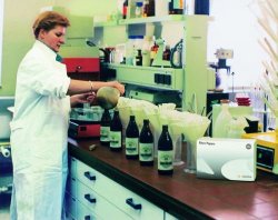 Carta filtrante qualitativa Tipo 292  Tipo Filtro pieghettato Diam. 110 mm