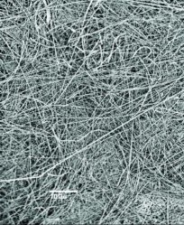 Carte in fibra di vetro