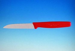 Primo Piano Degli Strumenti Dentali Dei Denti Nell'ufficio Ortodontico Di Stomatologia Medica 482257 12296 - Foto 9