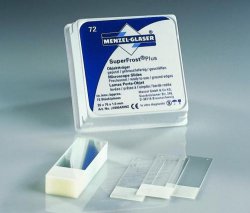 VETRINO PORTAOGGETTO SuperFrost Plus  Tipo SuperFrost® Ultra Plus Colore bianco