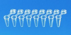 Strisce da 8 tubi per PCR, PP, con singolo tappo attaccato  Capacità 0,15 ml Tipo Low Profile Colore bianco