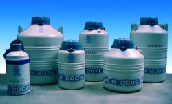 Contenitori per azoto liquido a lungo termine, serie B 2000 Tipo B 2011M Capacità 12,00 L N° di vials 216 2ml n° di canne 270