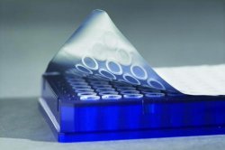 Tappi in neoporene  Diam. inferiore 37,0 mm Diam. superiore 42,5 mm Altezza 38,5 mm