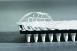 Tappi in silicone  Diam. inferiore 29,0 mm Diam. superiore 33,0 mm Altezza 32,0 mm