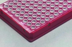 Tappi in silicone  Diam. inferiore 31,0 mm Diam. superiore 36,0 mm Altezza 35,0 mm