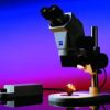 Stereomicroscopi "Stemi 2000"