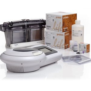 BOLT WELCOME PK WITH IBLOT2