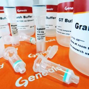 GENEAID - Presto Mini gDNA Bacteria Kit