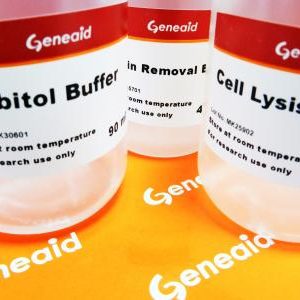 GENEAID - Presto Mini gDNA Yeast Kit