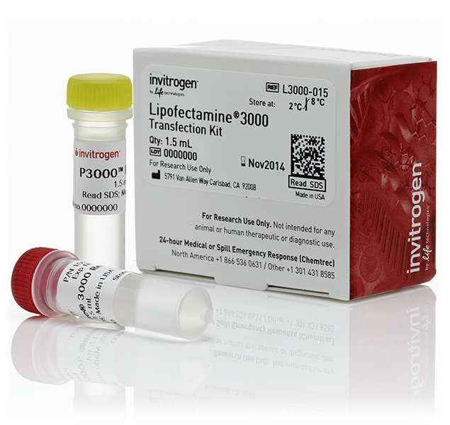LIFE TECHNOLOGIES - Lipofectamine® 3000 Transfection Reagent 1.5 ML