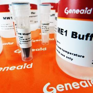 GENEAID - Magnetic Beads Genomic DNA Extraction Kit (Bacteria)
