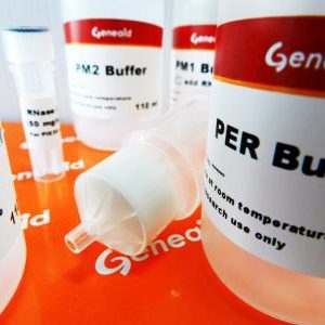 GENEAID - PrestoMidi Plasmid DNA Purification Kit (Endotoxin Free)