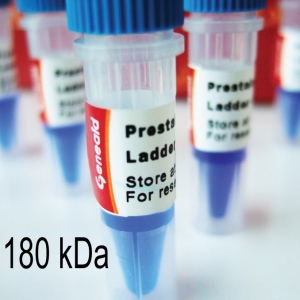 GENEAID - Prestained Protein Ladder V