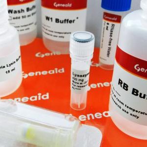 GENEAID - Presto™ Mini RNA Bacteria Kit