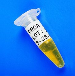 Etichette per stampante portatile BMP™21  Tipo B-427 Materiale Vinile Largh. 19,05 mm Per F N S1 V S2 P G