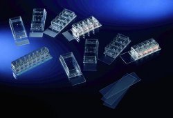 Camera Vetrini per microscopio Lab-Tek™ Chamber Slide™ System, PS  Tipo Lab-Tek II - CC² N° di camere 1 Materiale Vetro modific