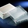 PIastre C96 MicroWell™, PS  Superficie MaxiSorp™ Colore Bianco Sterile no* senza coperchio