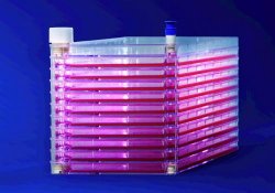 Cell Factories EasyFill™ con Superficie Nunclon™D, PS, sterile  N° di camere 1 Superficie coltura 630 cm2 Capacità 200 ml