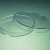 Capsule Petri, vetro Soda-lime  Diam. 60 mm Altezza 12 mm