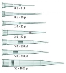 Puntali per pipette con filtro, in sacchetti richiudibili, non-sterili Capacità 1,0 - 20 µl Contenuto confezione 1 sacchetto