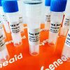 GENEAID - 3 X 500 UNITS of Taq DNA Polymerase with/dNTP with/MgCl2