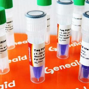 GENEAID - Ultra-Pure Taq PCR Master Mix with Dye