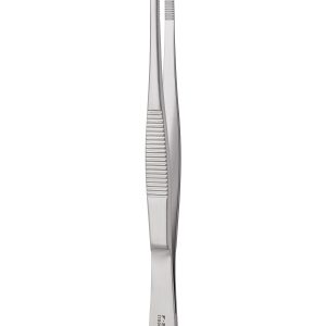 Alternative view of Standard Pattern Forceps - Serrated/Straight/13cm