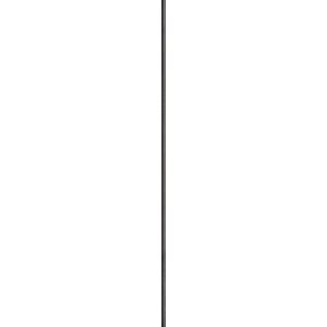 Insect Pins - Black Anodized/Size 2