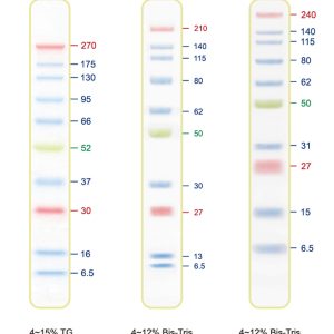 Blue Ultra Pre-stained Protein Ladder (6.5 to 270 kDa)