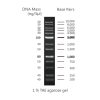 1Kb PLUS DNA ladder, 100-10Kb, 1 x 500ul vial