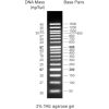 50bp DNA ladder, 50-1500bp, 1x500ul vial