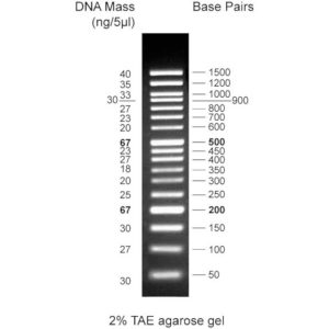 50bp DNA ladder, 50-1500bp, 1x500ul vial