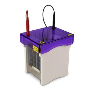 electroBLOT Mini, 10 x 10cm, Five Position