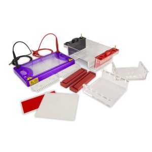 Alternative view of Complete Mini agarose gel documentation kit with gelLITE