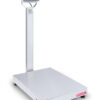 Bilancia da banco D52XW600WTDV8-CH