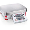 Bilancia di precisione EX24001-EU